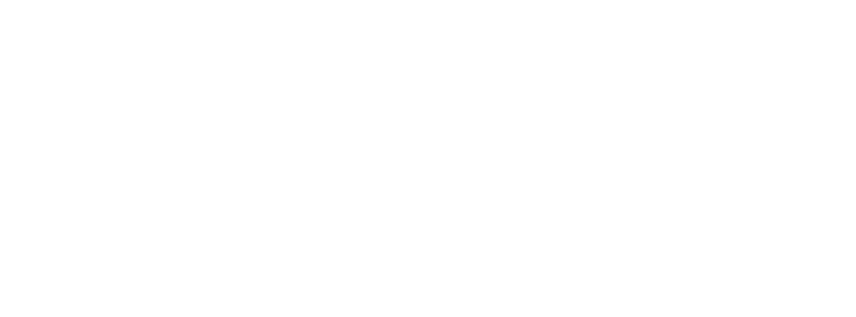 Pink Clover Data Solutions